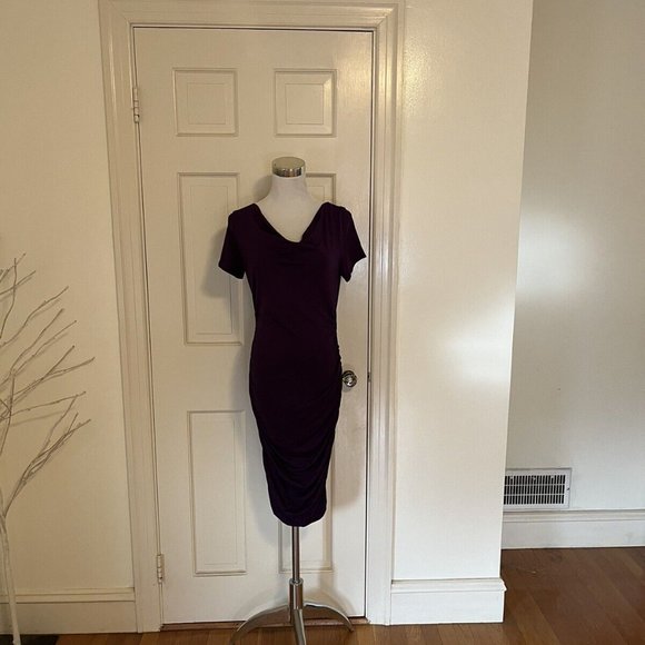 NWT Patty Boutik Purple Draped Cowl Neck Short Sleeve Dress Rusched Sides Size s - Picture 1 of 10